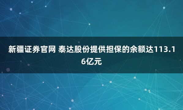 新疆证券官网 泰达股份提供担保的余额达113.16亿元